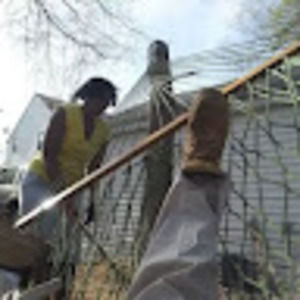 Meet your Posher, Joyce